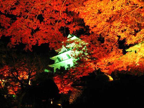 Asano Ryokan Gujo Bagian luar foto